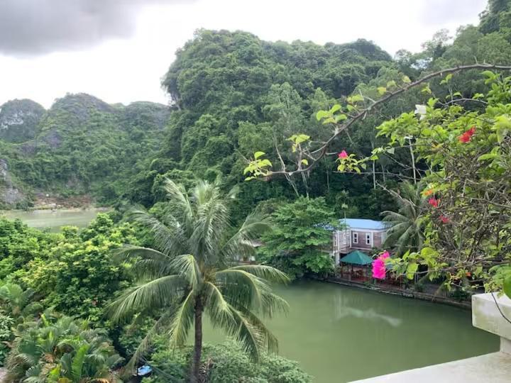 Catba Backpackers Hostel & Pool Bar Chan Chau Room photo